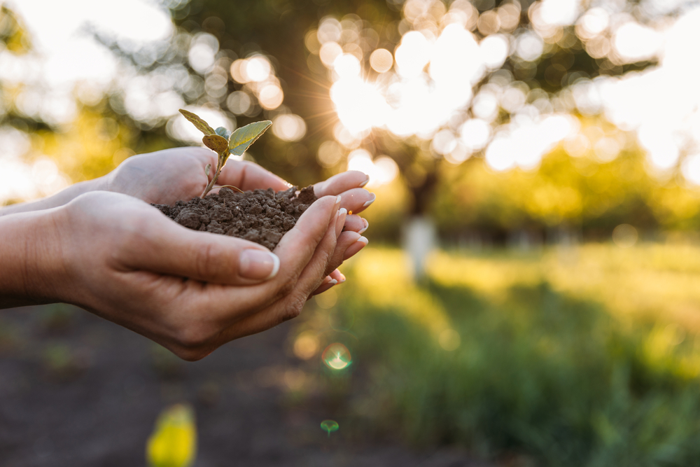 Un suolo più sano studiando la biodiversità