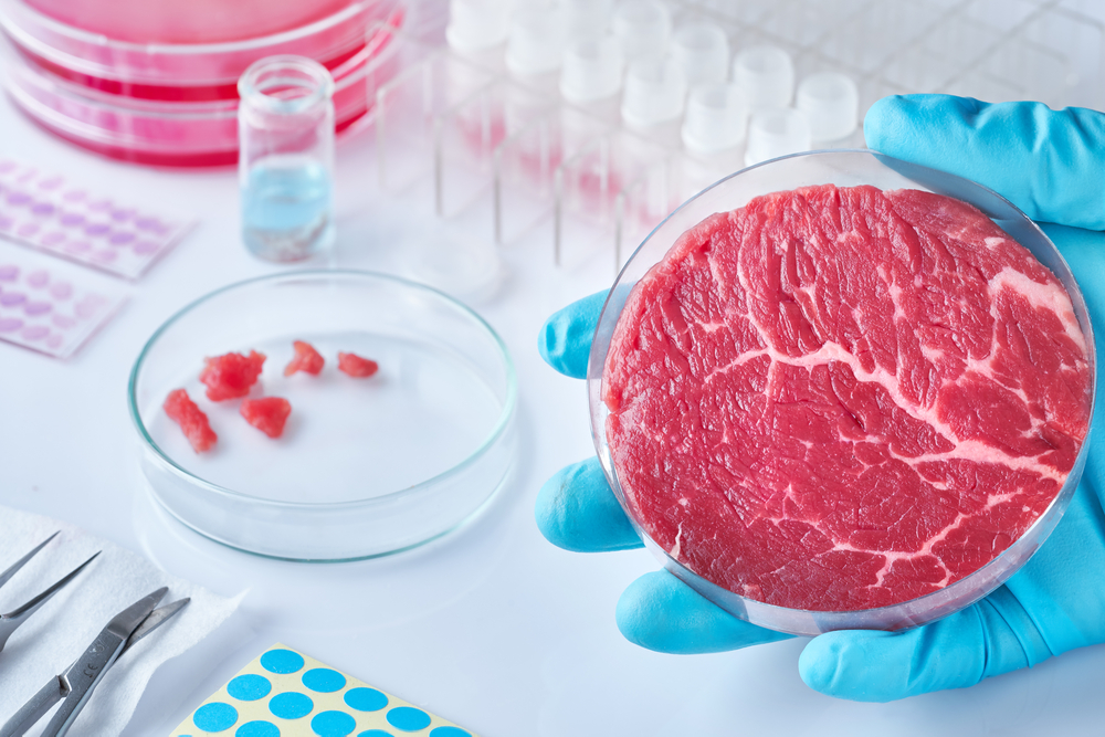 Carne coltivata, non sintetica: una risorsa per il futuro